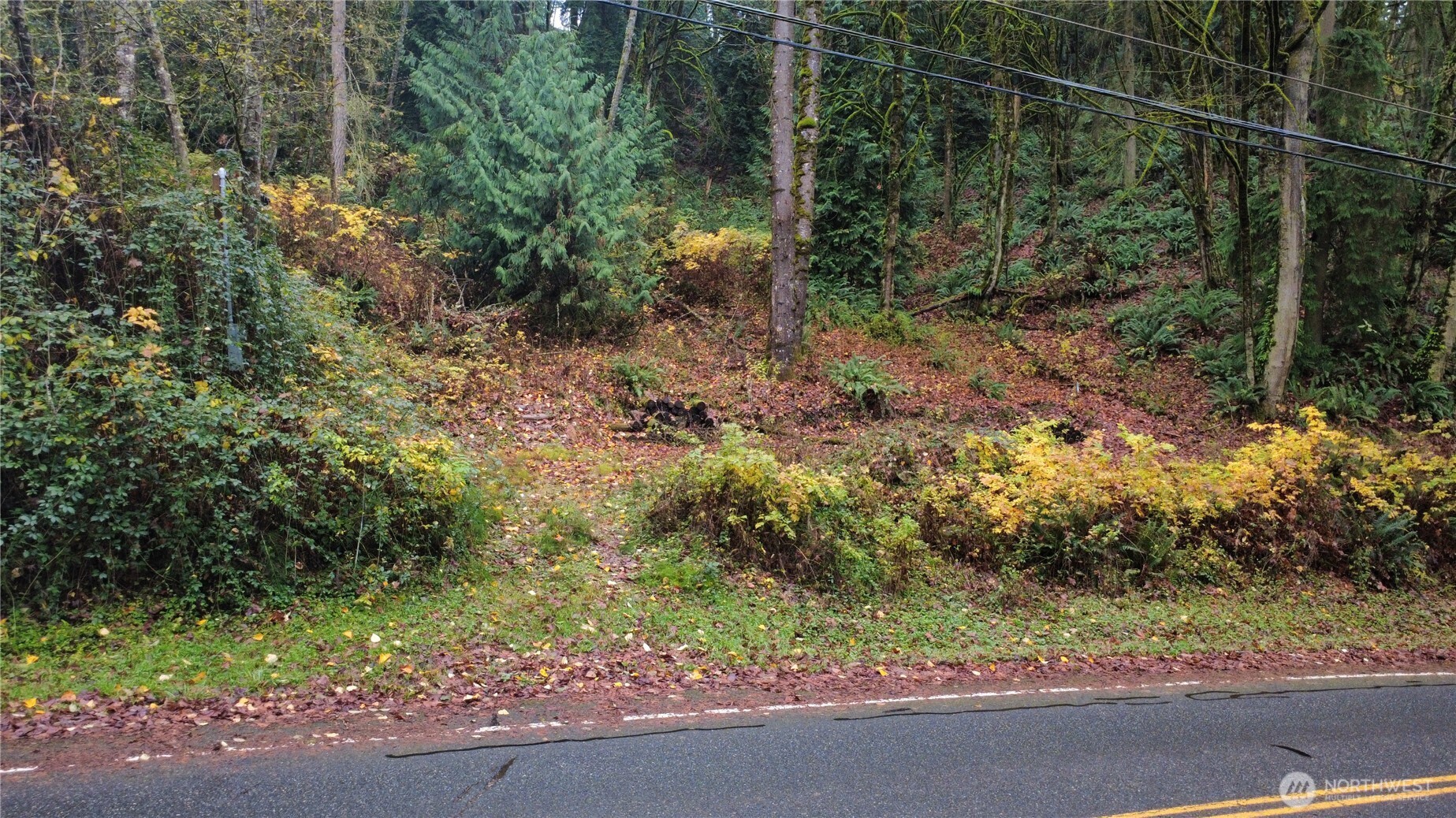 13720 Holmes Point Drive