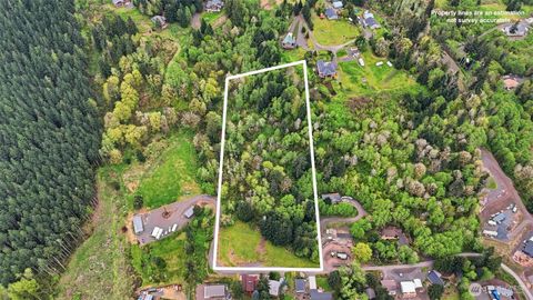 Photo of 0 Lakeview Drive, Mossyrock, WA 98564 (MLS # 2514485)