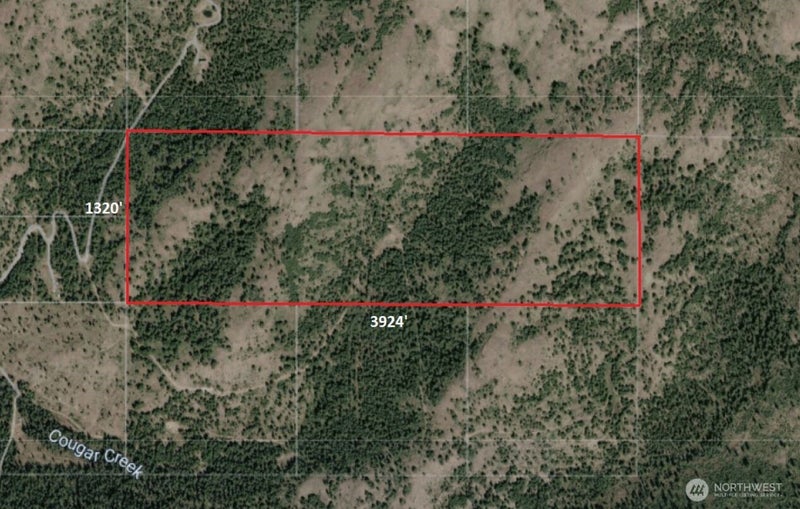 0 XYZ Cougar Creek Road
