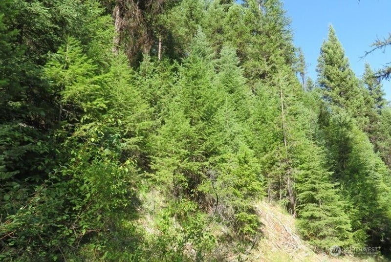 0 XYZ Cougar Creek Road