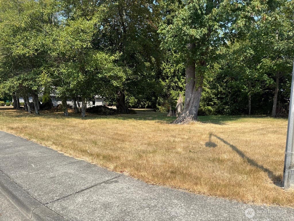Photo of 0 Montgomery Place, Mount Vernon, WA 98274 (MLS # 2574057)