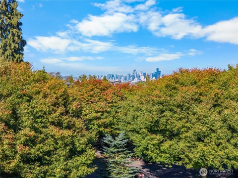 Photo of 3133 SW Raymond Street, Seattle, WA 98126 (MLS # 2584814)