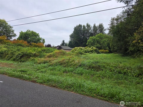 Photo of 1003 12th Avenue SW, Puyallup, WA 98372 (MLS # 2584515)