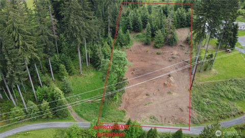 0 Dahlman Road Castle Rock WA 98611