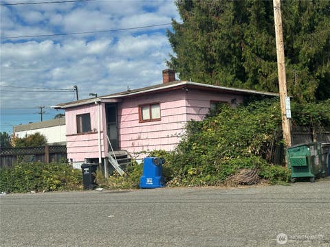 Photo of 507 S Mead Street, Seattle, WA 98108 (MLS # 2569611)