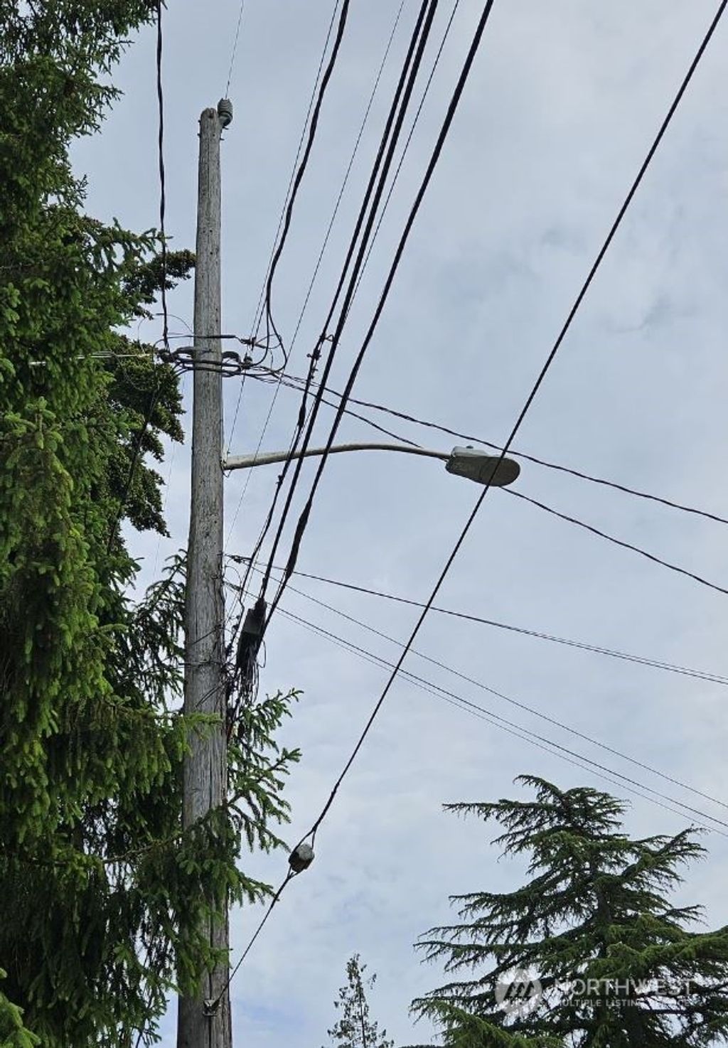 Photo of 12200 Densmore Avenue N, Seattle, WA 98133 (MLS # 2249538)