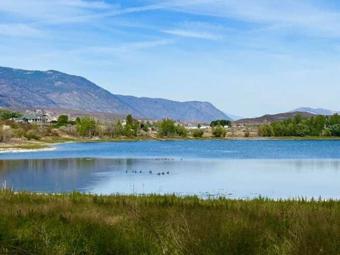 Photo of 1893 Pine Creek Road, Tonasket, WA 98855 (MLS # 2582575)