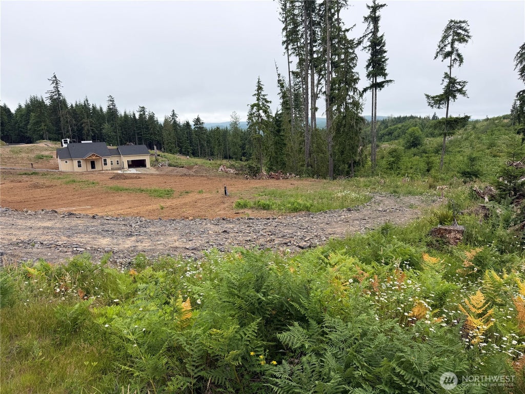 Photo of 1515 Headquarters RD, Castle Rock, WA 98611 (MLS # 2546462)