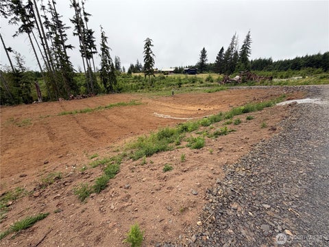 Photo of 1515 Headquarters RD, Castle Rock, WA 98611 (MLS # 2546462)