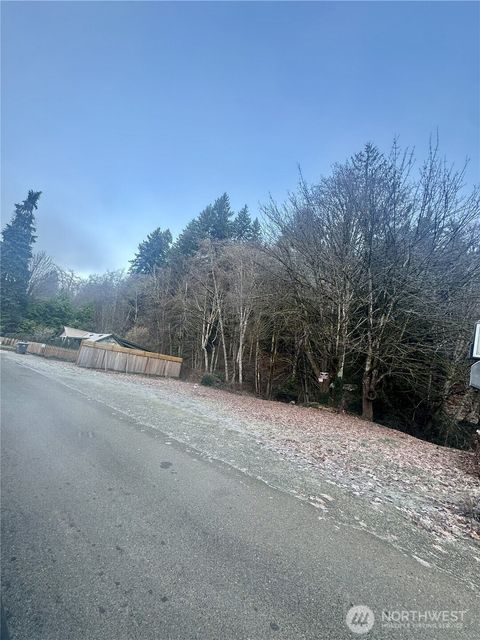 Photo of 0 N Finch Creek Rd, Hoodsport, WA 98548 (MLS # 2517809)