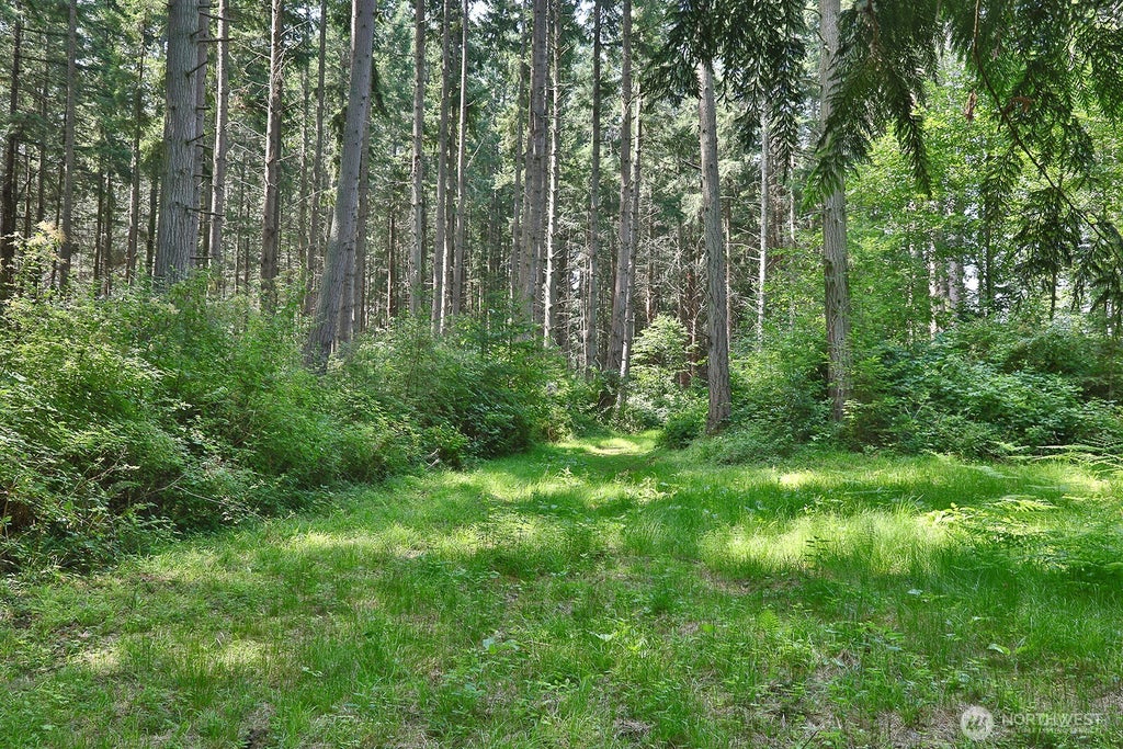 Photo of 0 XXX Hellman Road, Clinton, WA 98236 (MLS # 2574895)