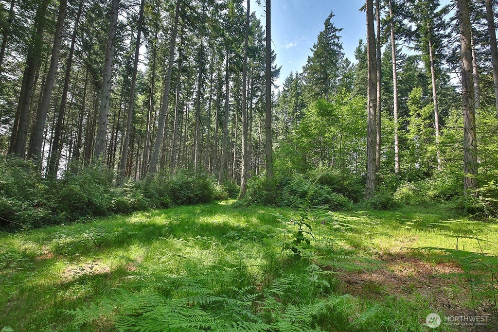 Photo of 0 XXX Hellman Road, Clinton, WA 98236 (MLS # 2574895)
