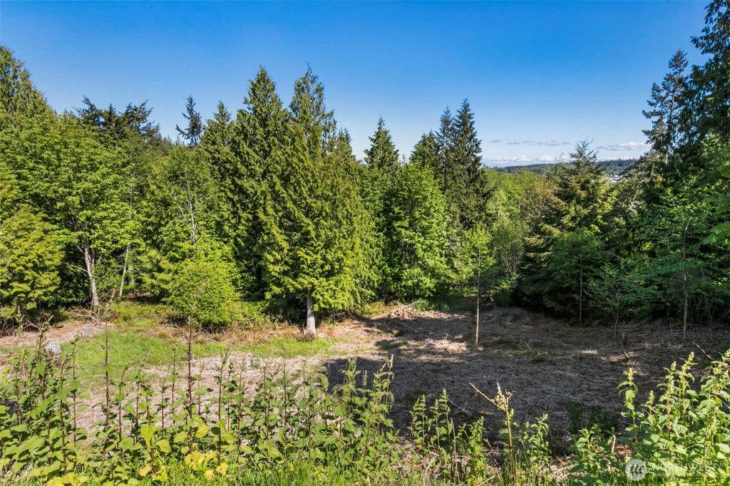 Photo of 639 Rainier Lane, Port Ludlow, WA 98365 (MLS # 2507021)