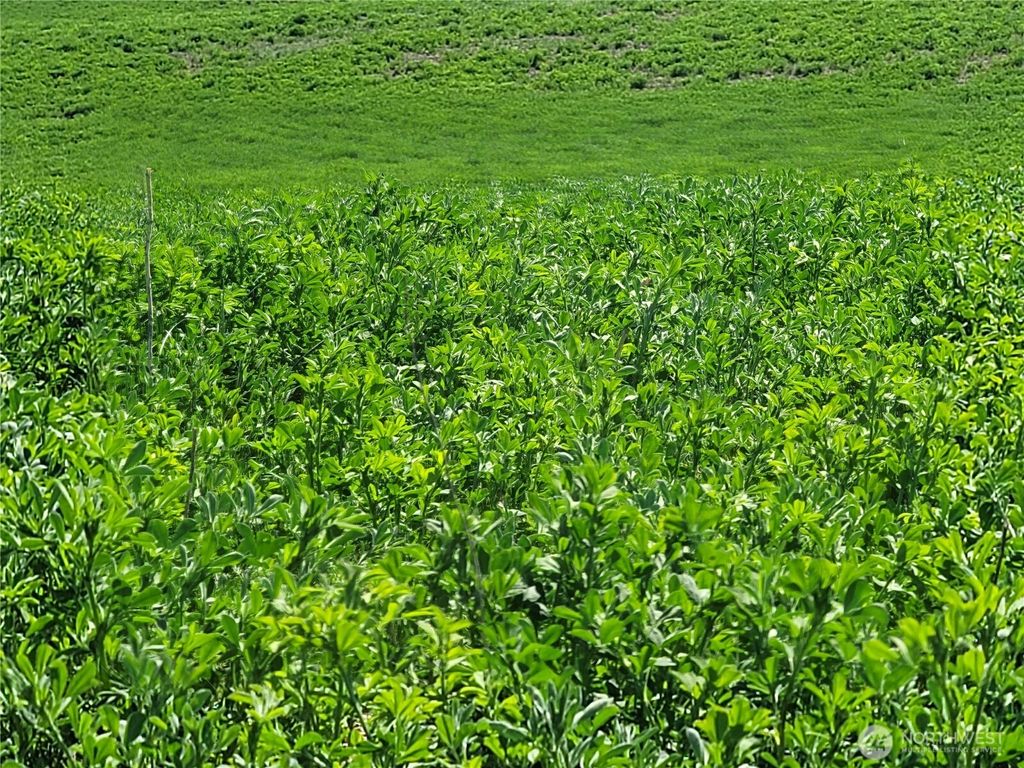 Photo of 1612 Katen Road, Ellensburg, WA 98926 (MLS # 2503172)