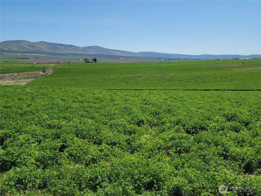 Photo of 1612 Katen Road, Ellensburg, WA 98926 (MLS # 2503172)