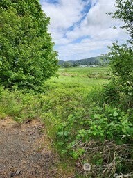 Photo of 443 State Hwy 6, Raymond, WA 98577 (MLS # 2586904)
