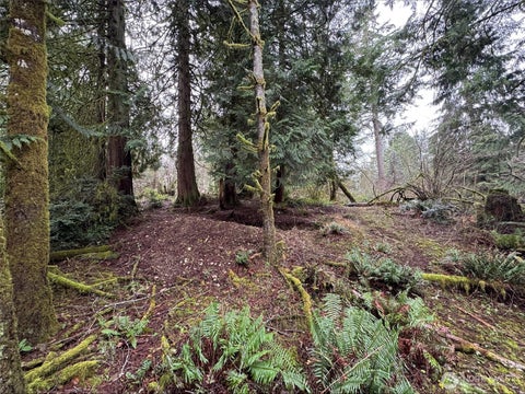 Featured picture for the property 2464540