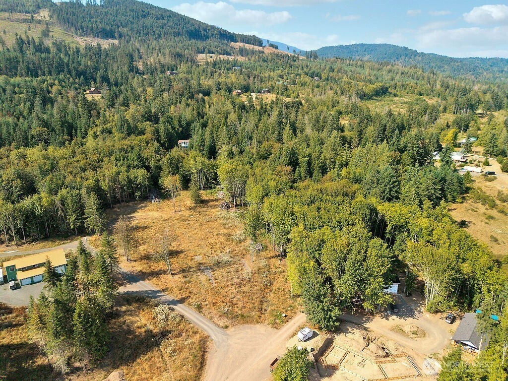 Photo of 437 Black Bear Trail, Port Angeles, WA 98362 (MLS # 2565195)