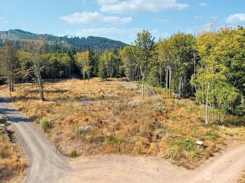437 Black Bear Trail