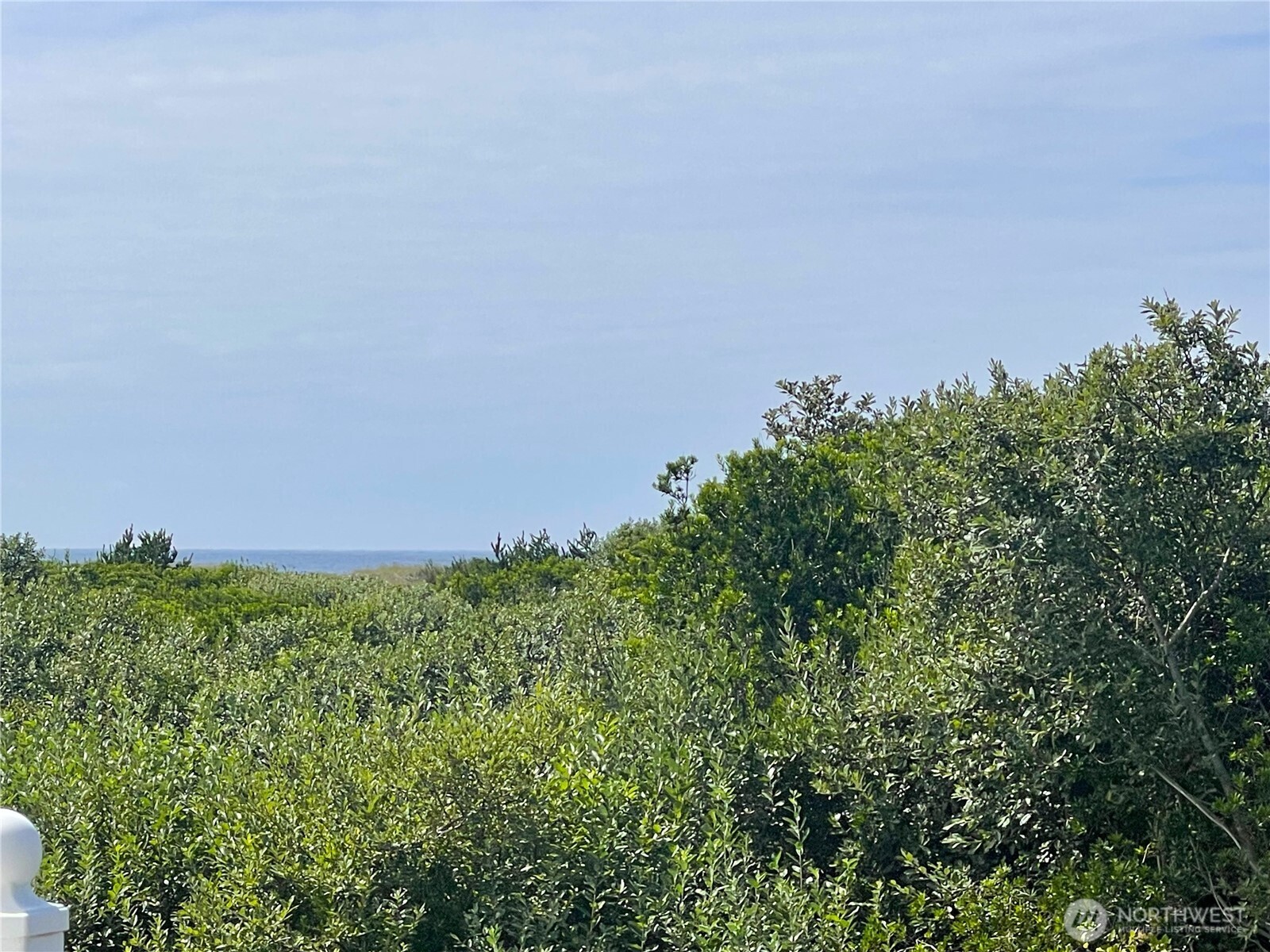 855 Ocean Shores Boulevard NW 103