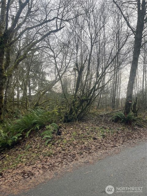 Photo of 0 X Ward Creek Road, Raymond, WA 98577 (MLS # 2472036)