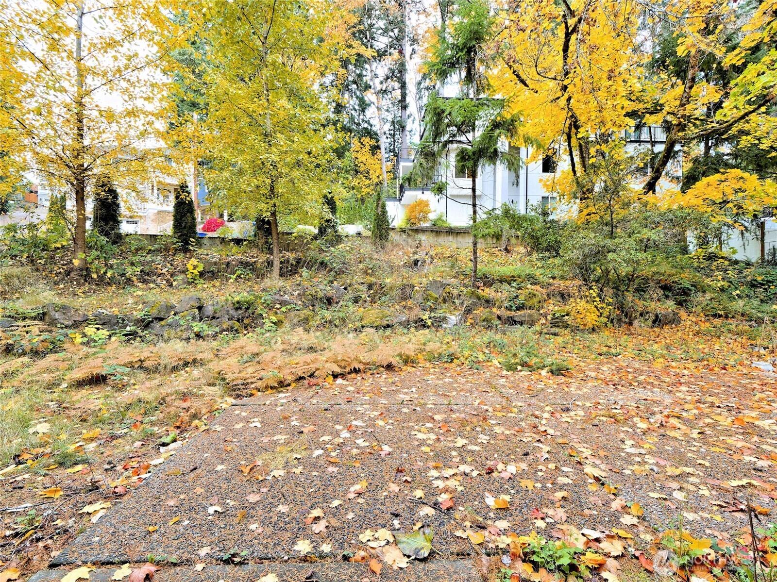 Bellevue, Washington 98006, United States, 4 Bedrooms Bedrooms, ,2 BathroomsBathrooms,Residential,Active,114245