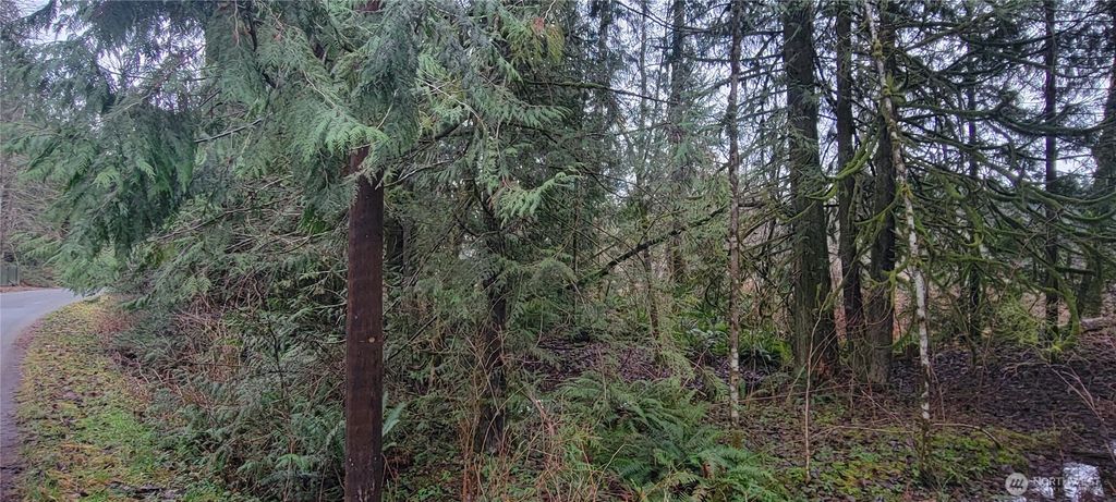 Photo of 11228 312th Avenue NE, Carnation, WA 98014 (MLS # 2468825)