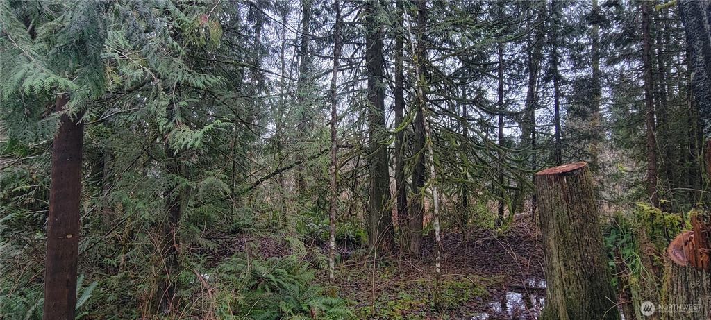 Photo of 11228 312th Avenue NE, Carnation, WA 98014 (MLS # 2468825)