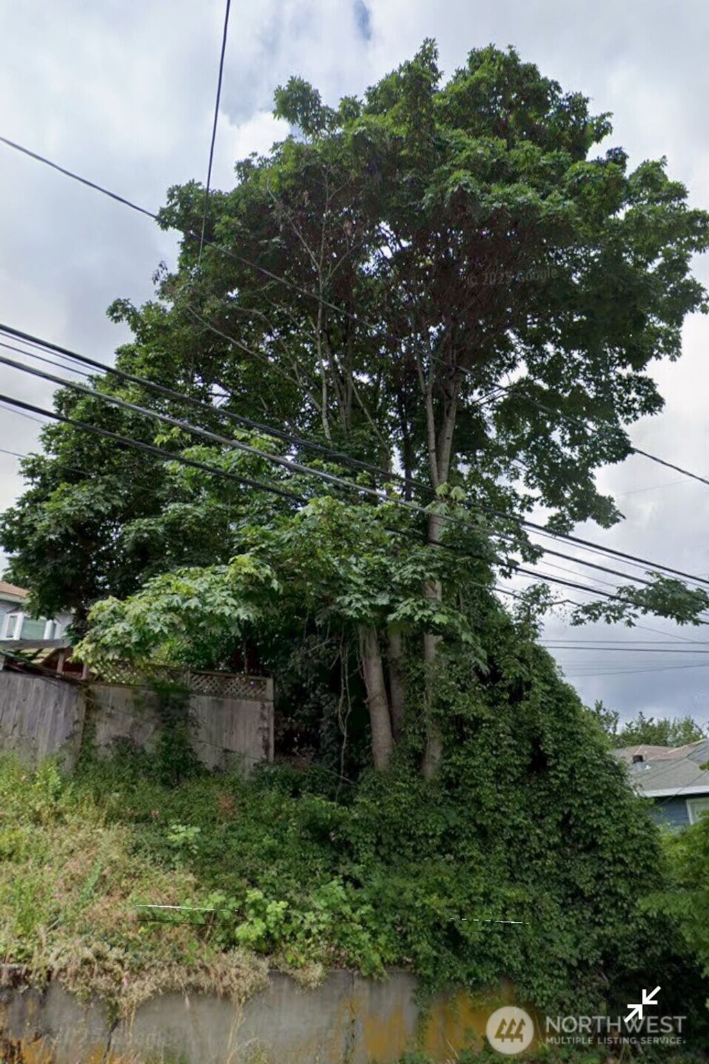 Photo of 809 26th Avenue E, Seattle, WA 98112 (MLS # 2425549)