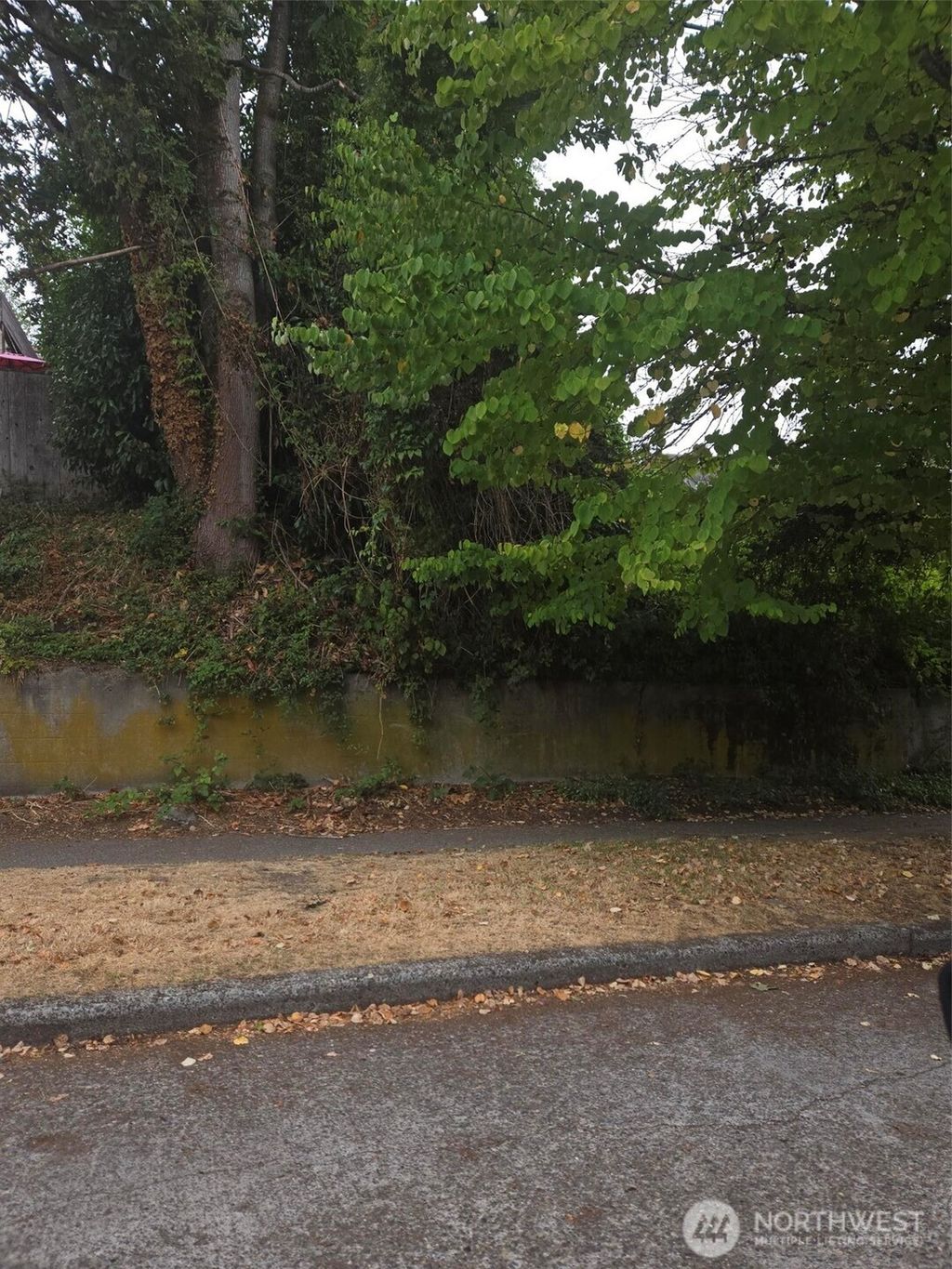 Photo of 809 26th Avenue E, Seattle, WA 98112 (MLS # 2425549)