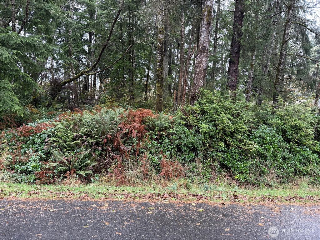 Photo of 664 Chenois Avenue NE, Ocean Shores, WA 98569 (MLS # 2459616)