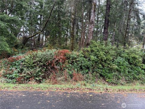 664 Chenois Avenue NE Ocean Shores WA 98569