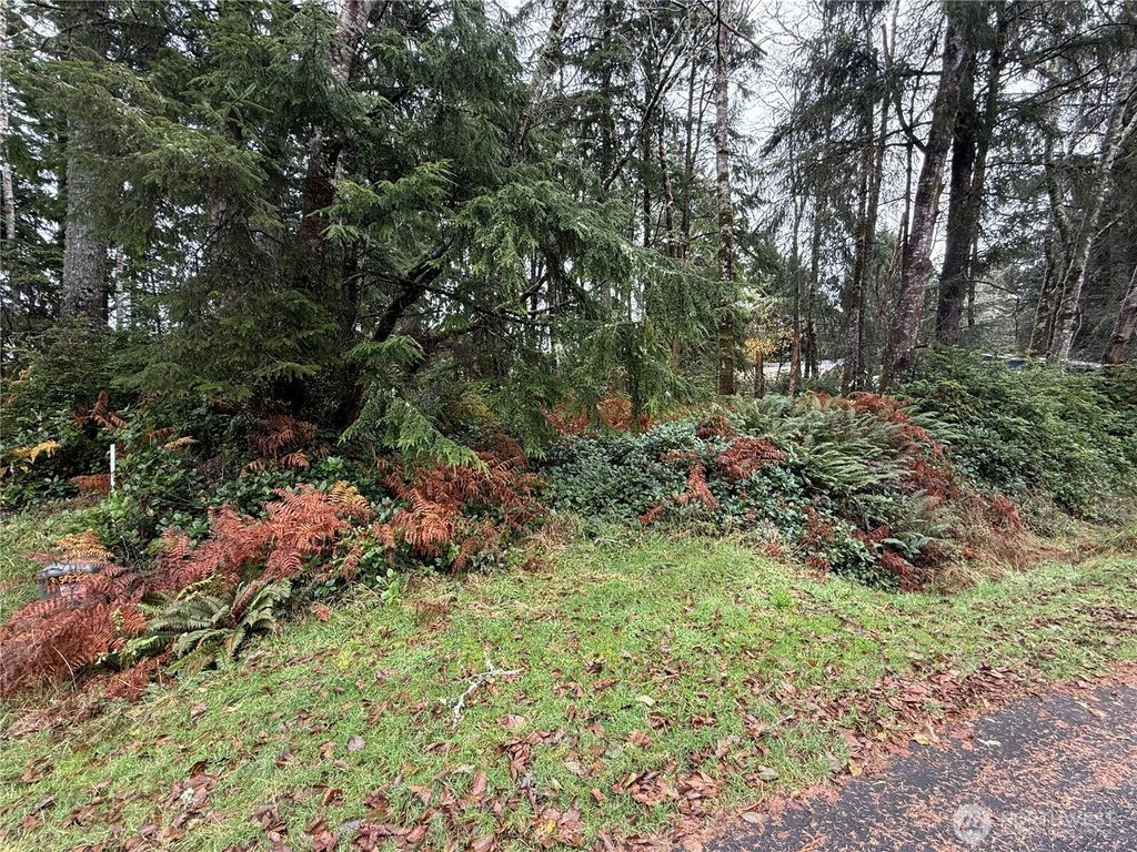 Photo of 664 Chenois Avenue NE, Ocean Shores, WA 98569 (MLS # 2459616)