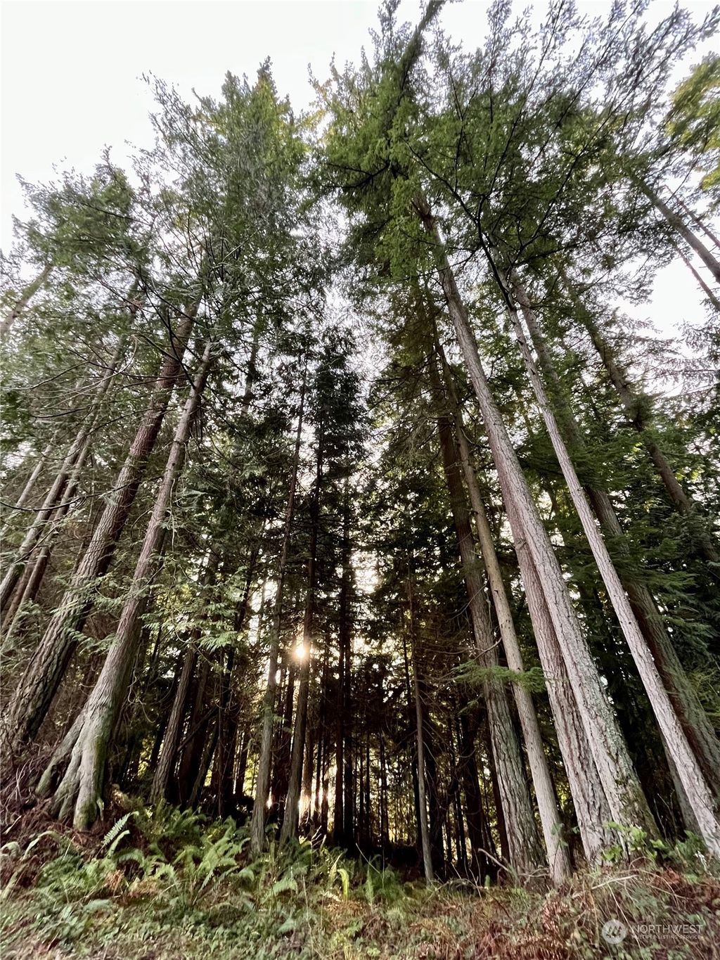 Photo of 0 NHN 50th St. NE, Granite Falls, WA 98252 (MLS # 2217543)