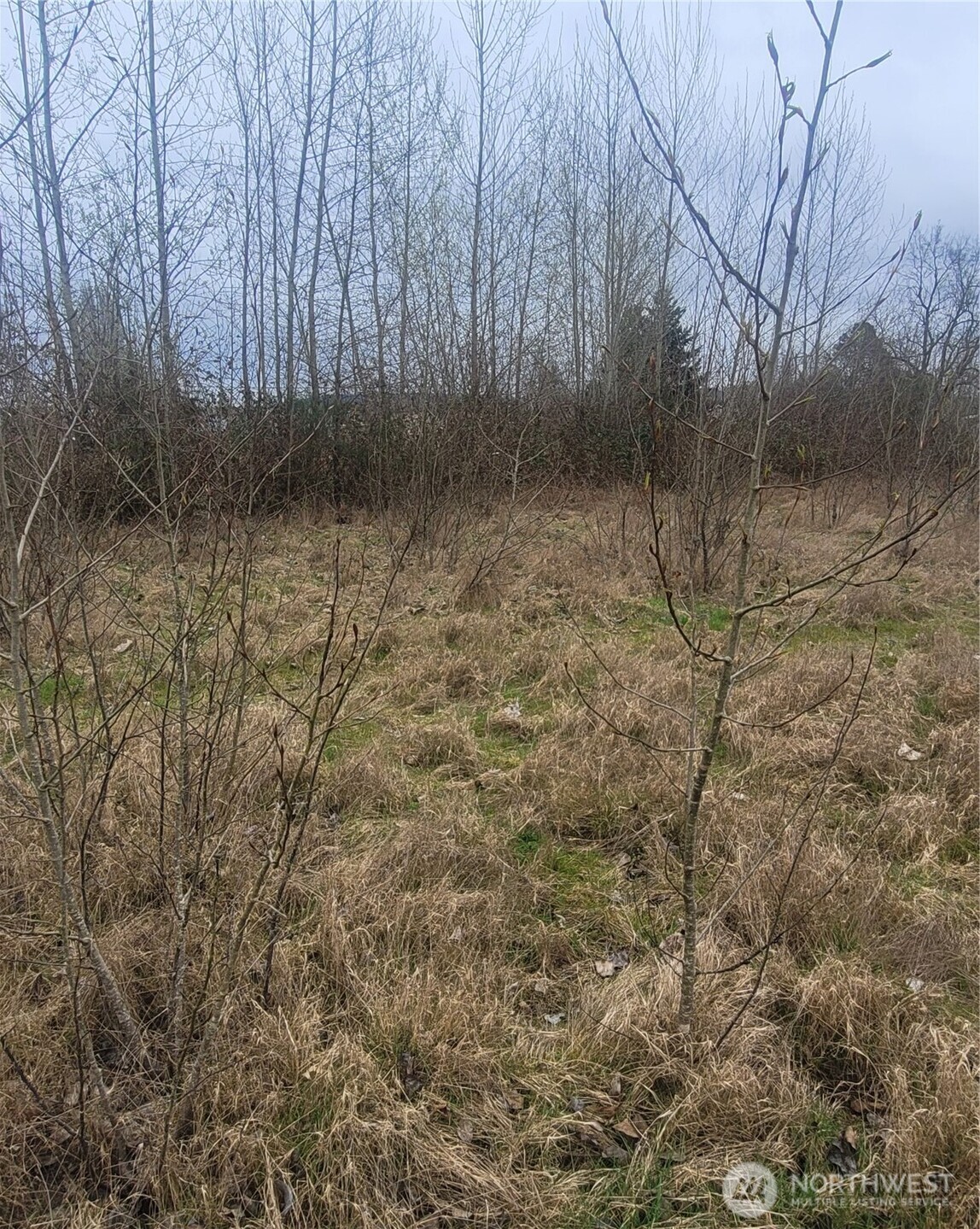 316 3rd Avenue N