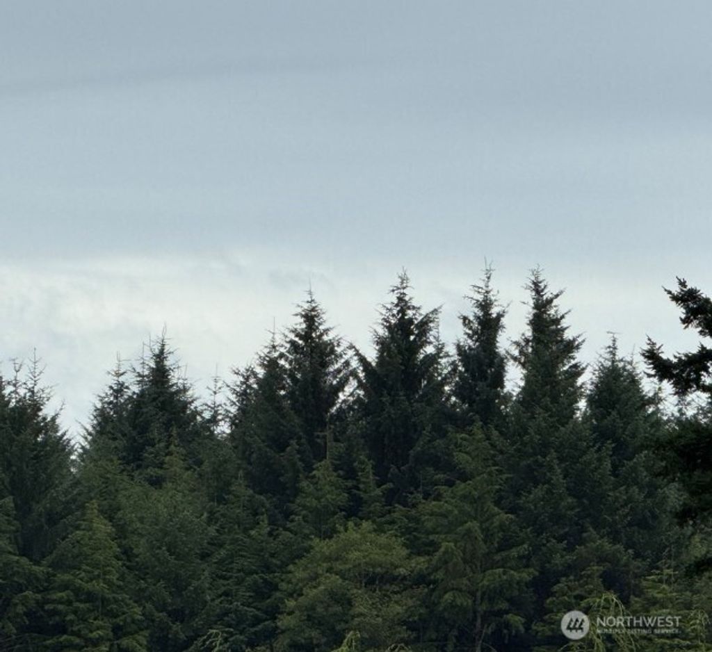 Photo of 0 Roosevelt Beach, Pacific Beach, WA 98571 (MLS # 2459901)