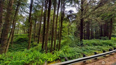 0 Roosevelt Beach Pacific Beach WA 98571