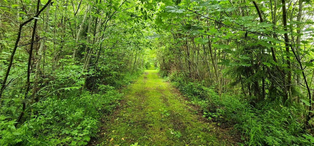 Photo of 738 Grauel- Ramapo Rd Rd, Joyce, WA 98363 (MLS # 2597922)