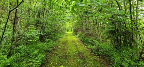 Photo of 738 Grauel- Ramapo Rd Rd, Joyce, WA 98363 (MLS # 2597922)