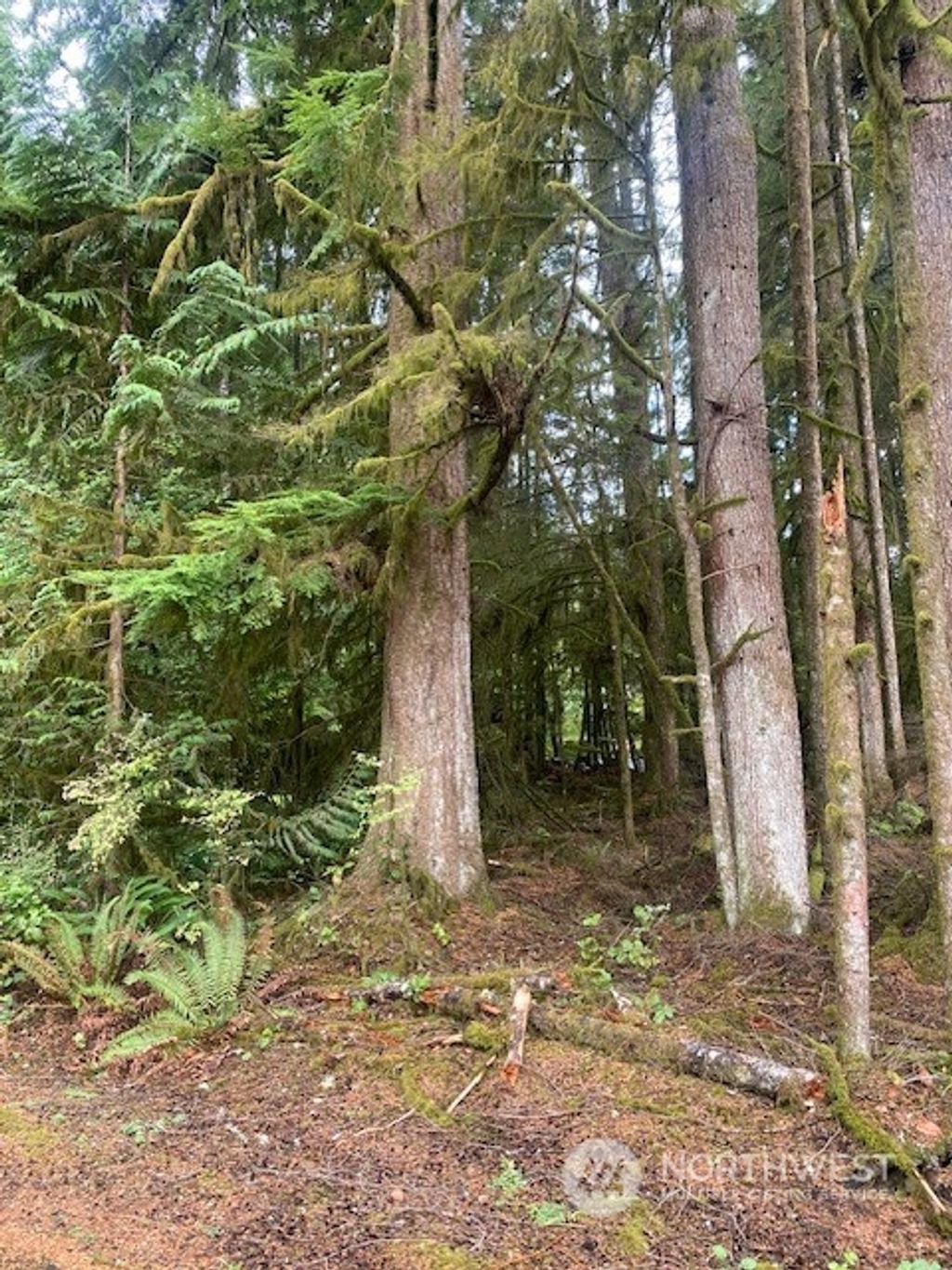 Photo of 19 xx Pearce Way, Granite Falls, WA 98252 (MLS # 2166141)