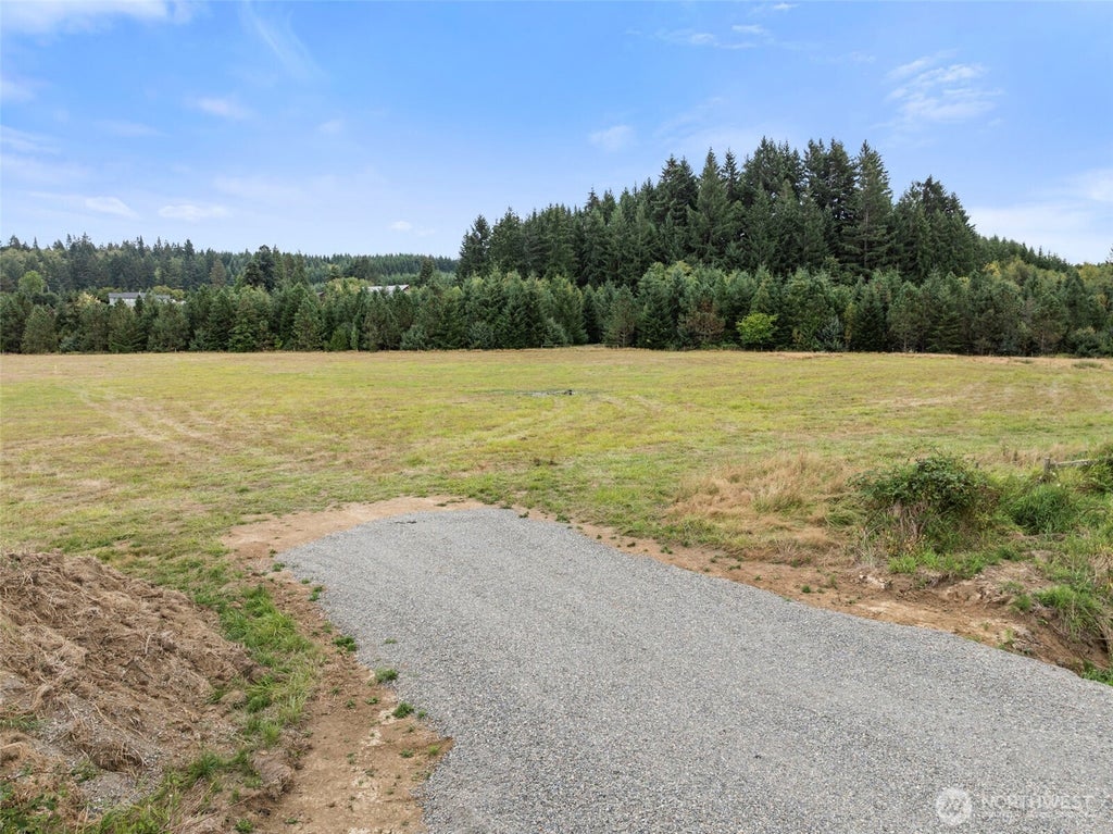 Photo of 193 Mattson Road, Centralia, WA 98531 (MLS # 2576464)