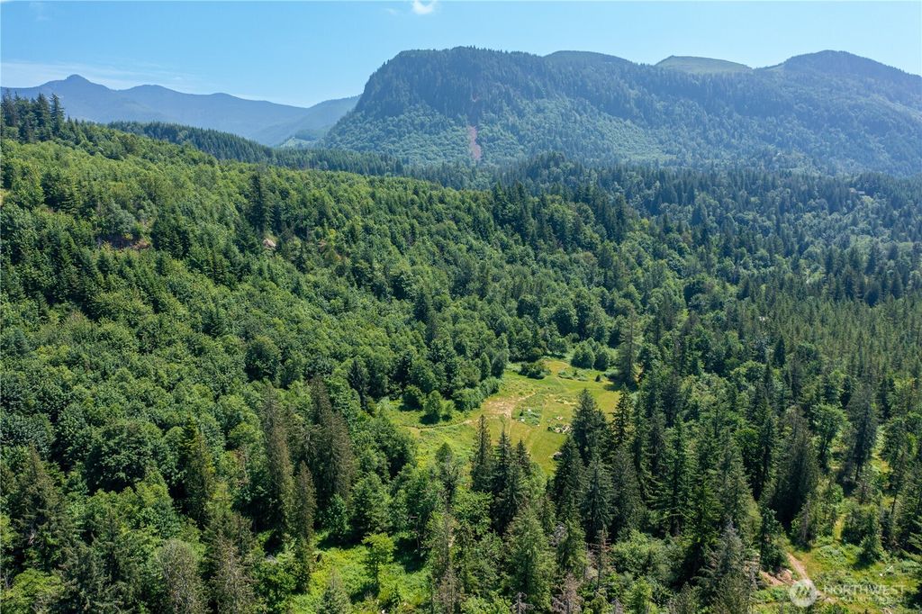Photo of 36508 312th Avenue SE, Enumclaw, WA 98022 (MLS # 2395624)