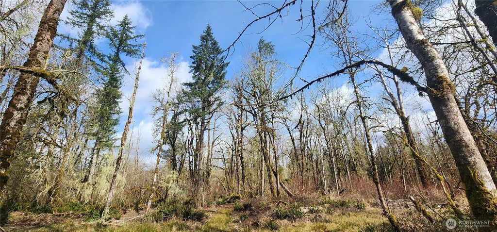 Photo of 0 Justus Rd, Cinebar, WA 98533 (MLS # 2492682)