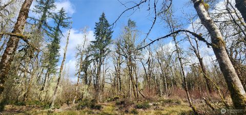 Photo of 0 Justus Rd, Cinebar, WA 98533 (MLS # 2492682)