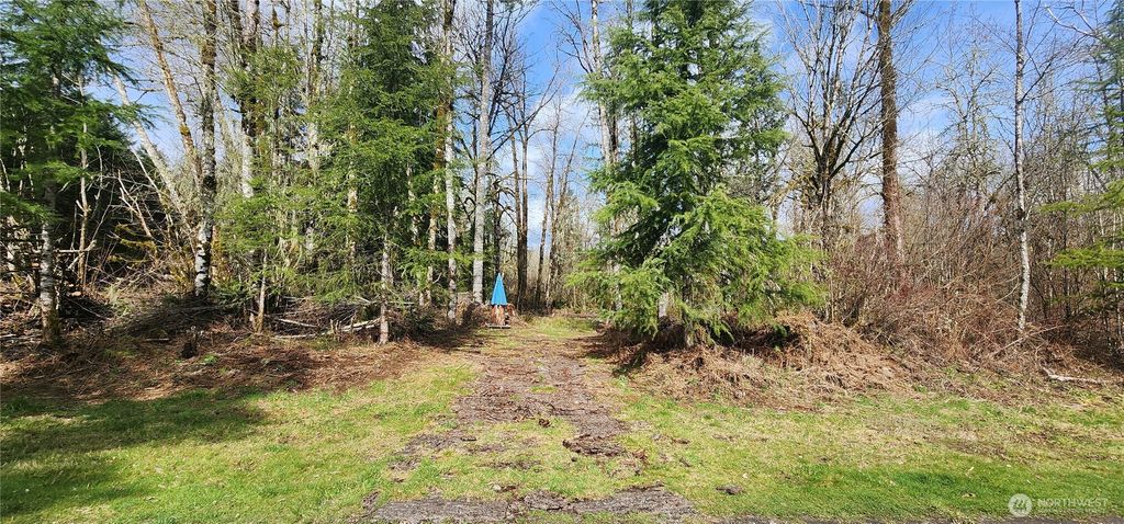 Photo of 0 Justus Rd, Cinebar, WA 98533 (MLS # 2492682)