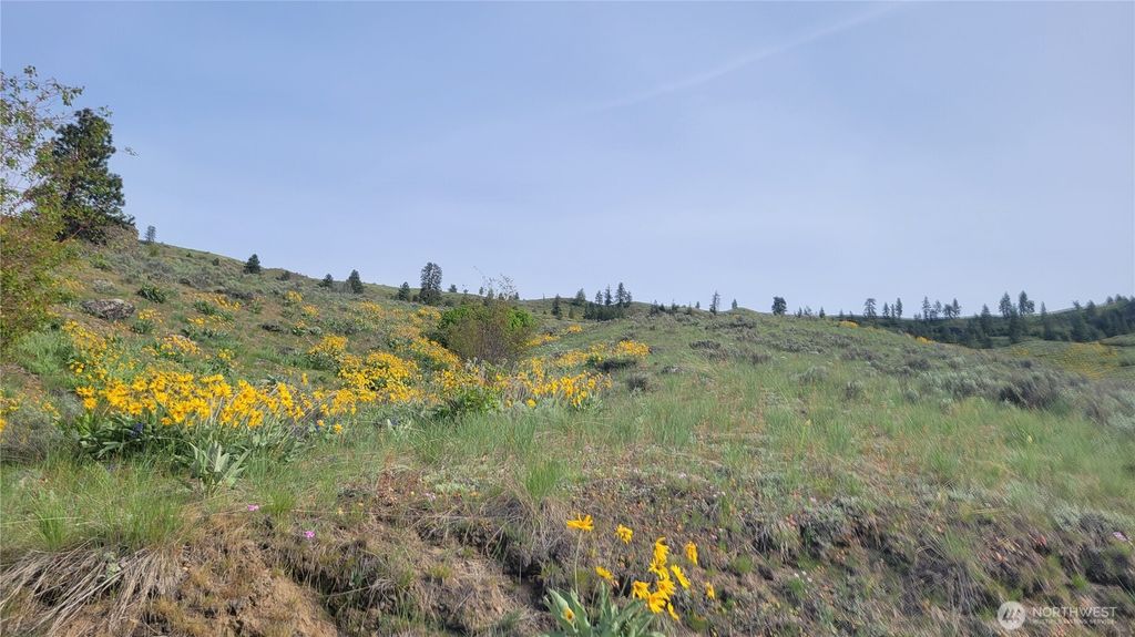 Photo of 0 Coyote's Curve Road, Orondo, WA 98843 (MLS # 2506153)