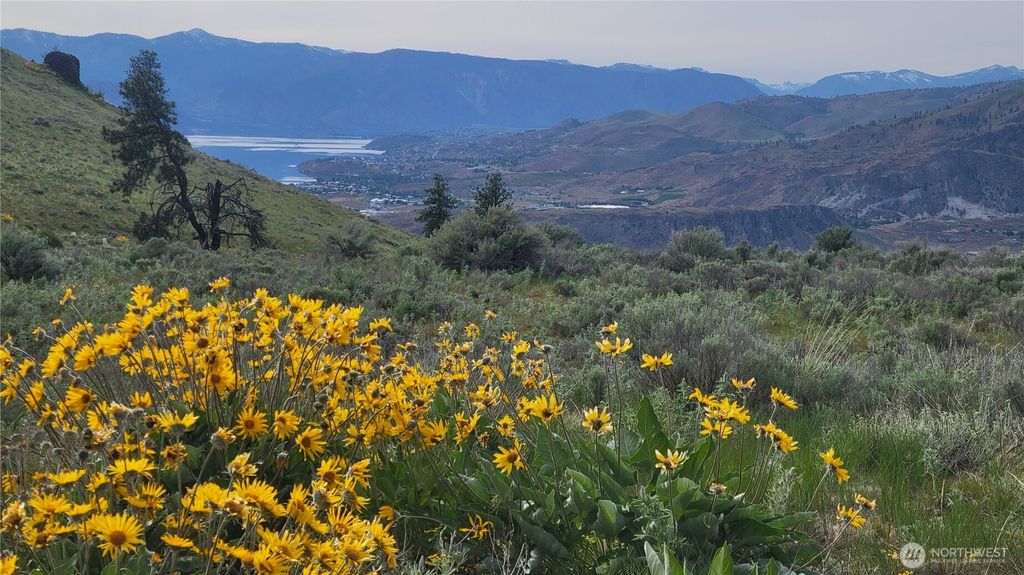 Photo of 0 Coyote's Curve Road, Orondo, WA 98843 (MLS # 2506153)