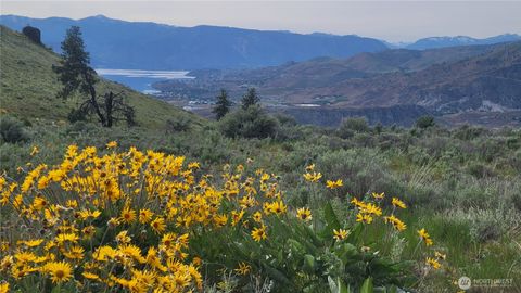 Photo of 0 Coyote's Curve Road, Orondo, WA 98843 (MLS # 2506153)