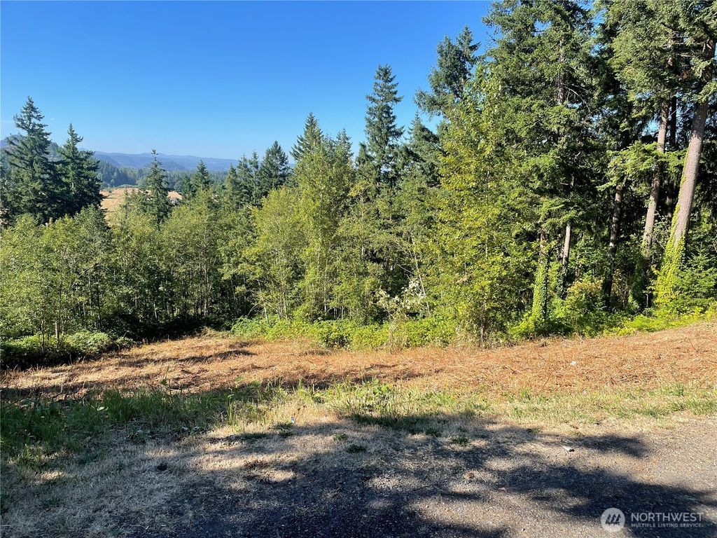 Photo of 27435 SE 402nd Street, Enumclaw, WA 98022 (MLS # 2401523)