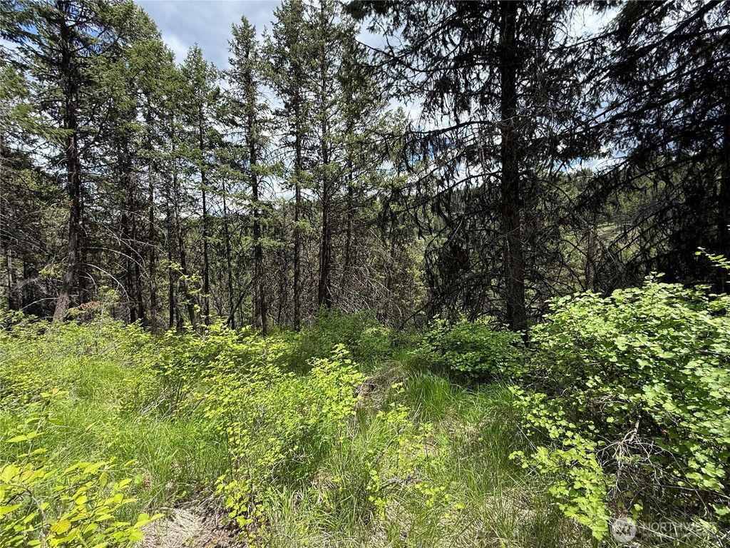 Photo of 0 Lot 131 Slippery Hill Road, Republic, WA 99166 (MLS # 2527186)